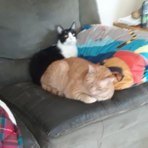 Meet your Posher, Cora